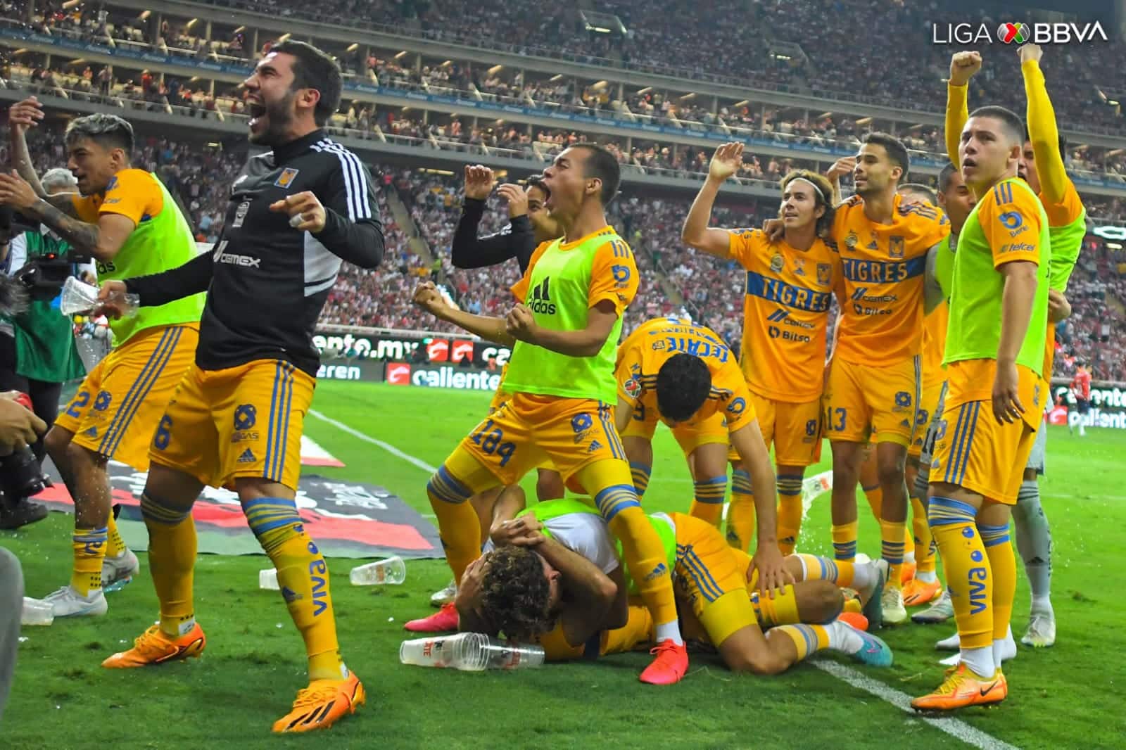 ¡Revancha felina! Tigres es campeón del futbol mexicano con épica remontada en tiempo extra