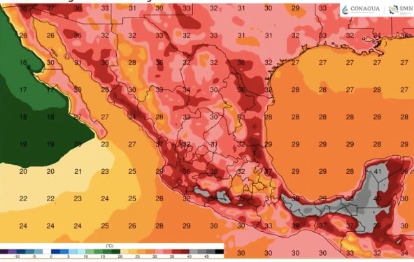 Pronóstico de temperaturas máximas durante la semana del 30 de mayo al 7 de junio. Foto: SMN