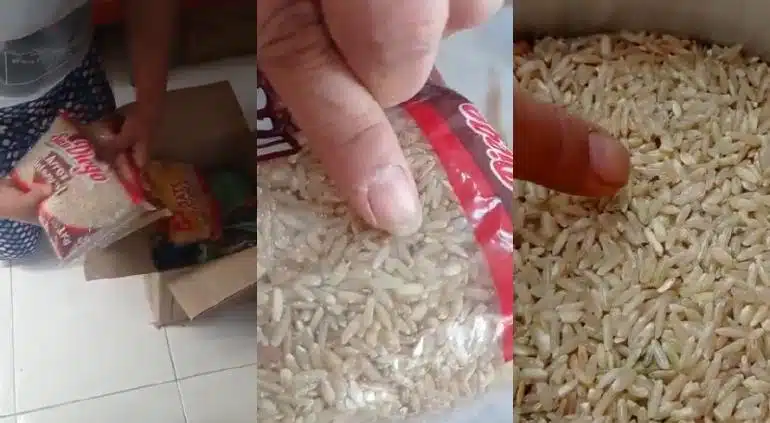 Beneficiados por despensas de Claudia Sheinbaum en CDMX, denuncia gorgojos en arroz