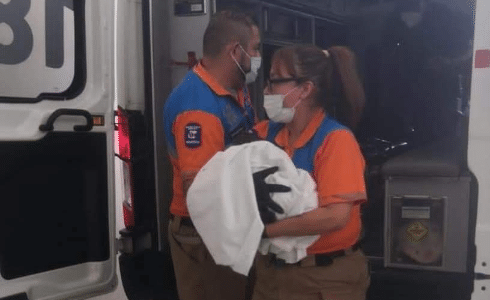 bebé Guanajuato