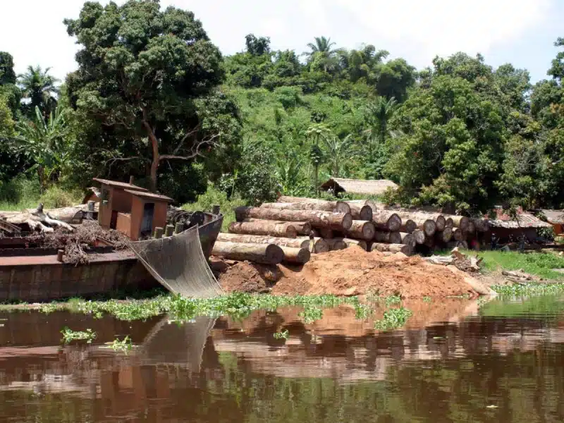 bebés lago el Congo