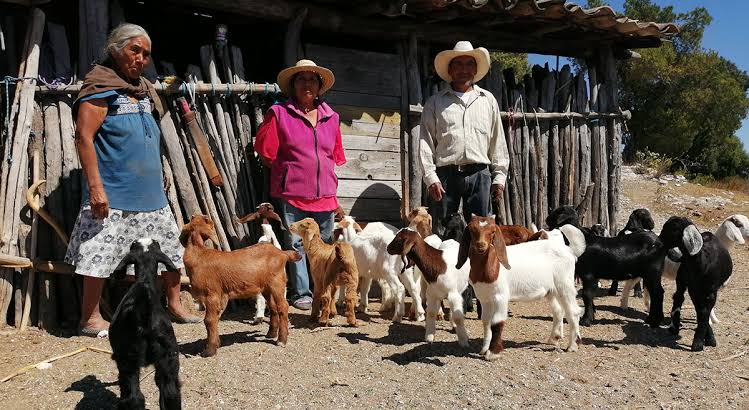 Comunidad rural