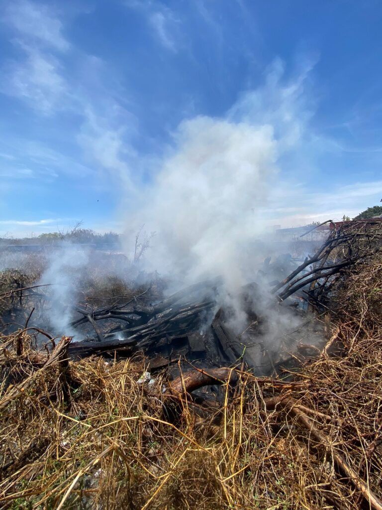 Incendio Ferromex en Mazatlán