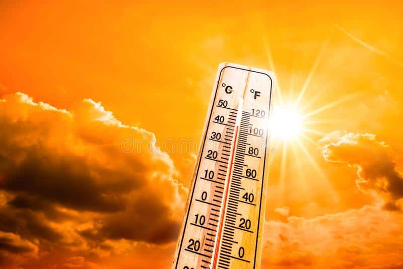 Calor