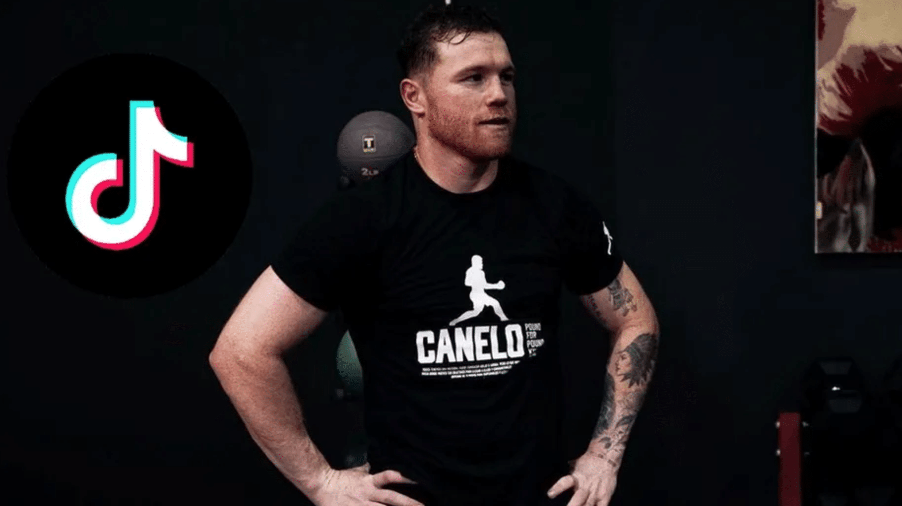 canelo-cuenta de tiktok