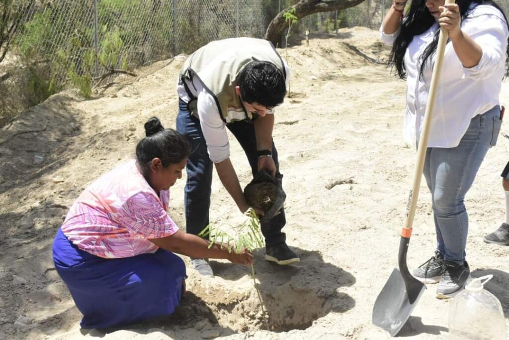 “Planta un árbol con amor” llega al municipio de Choix; buscan concientizar sobre el medio ambiente