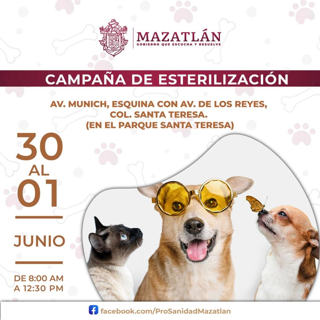 Campaña de esterilización gratuita en Mazatlán