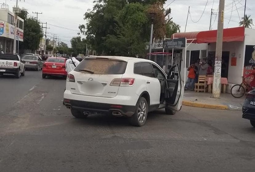 Video: León se 