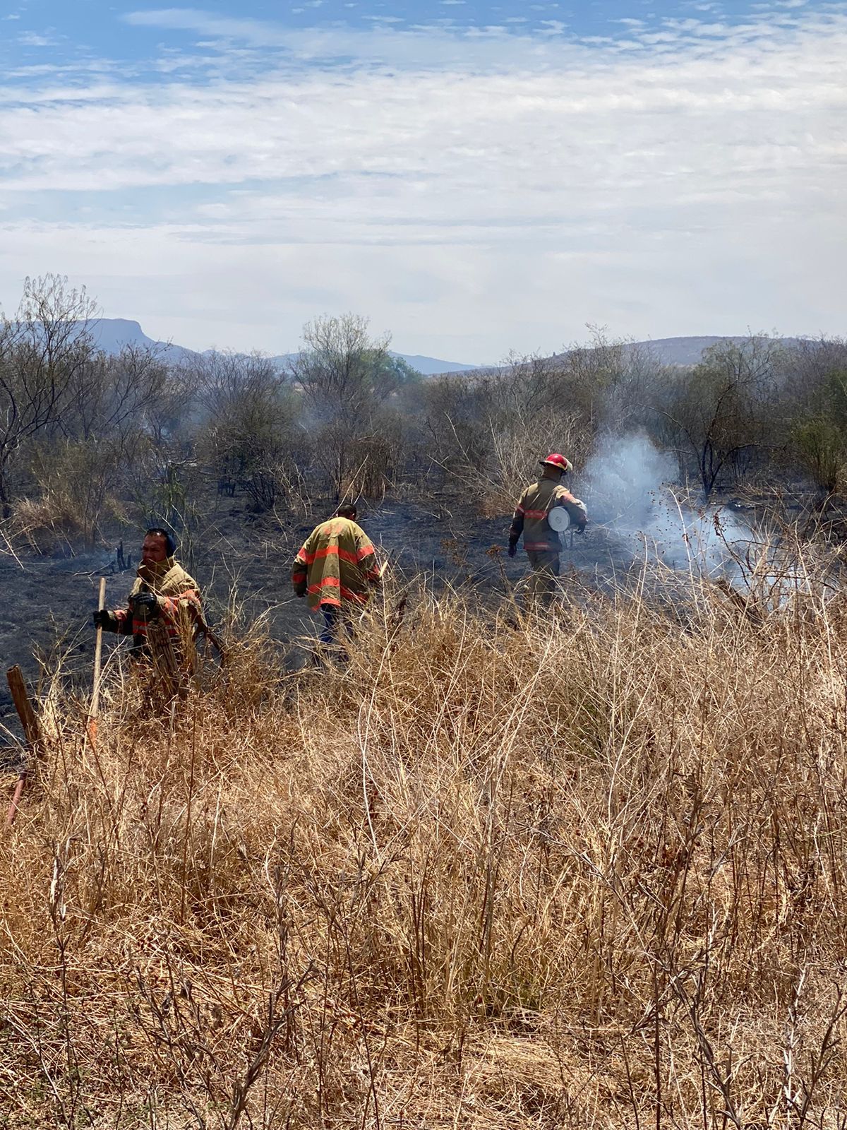 incendio forestal