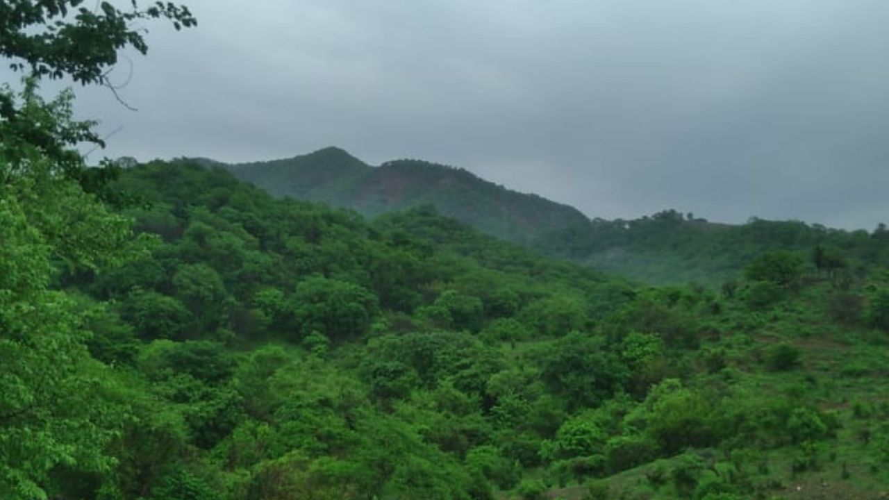 luvias
