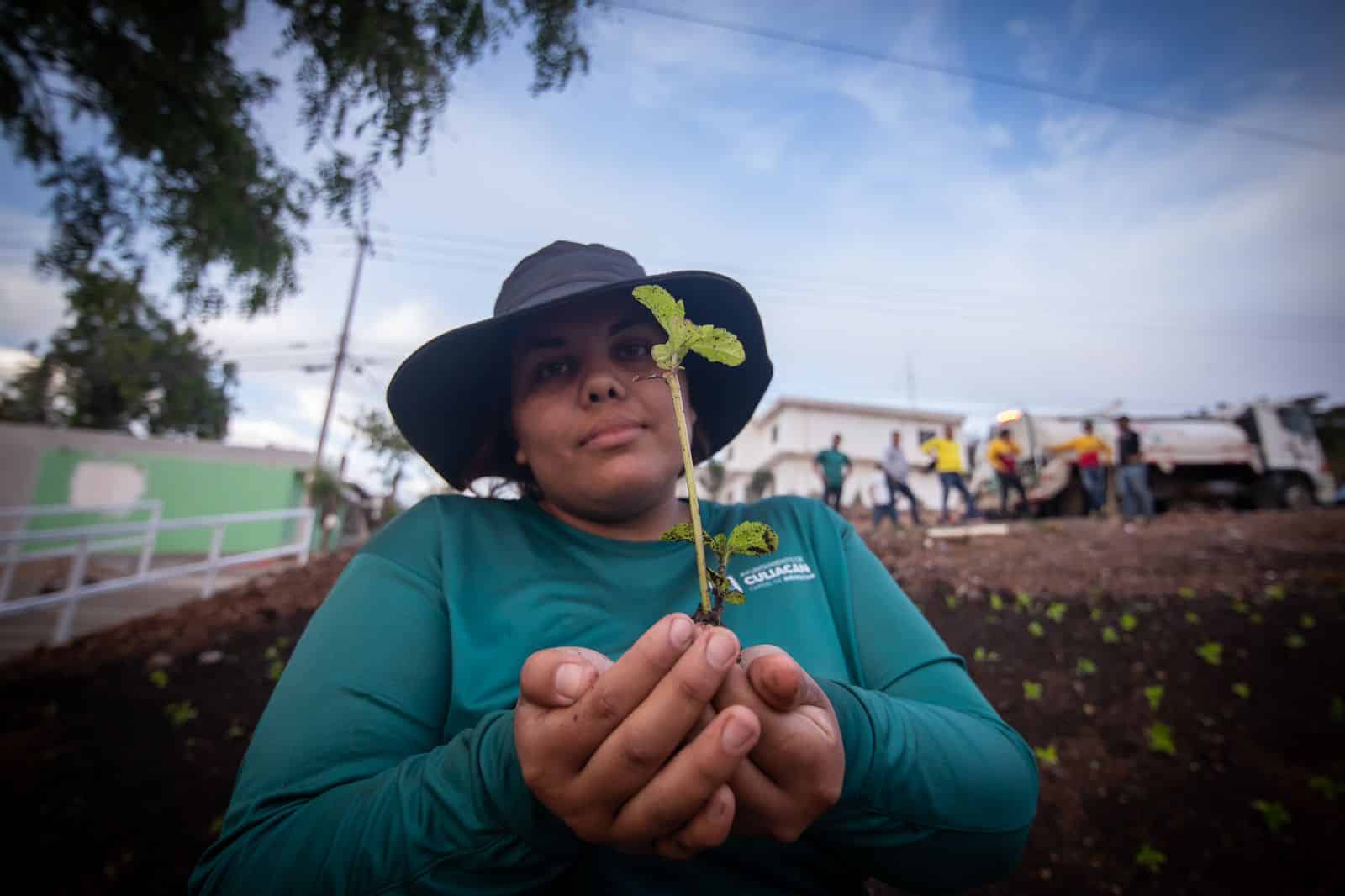 ¡Buscan un Culiacán verde! Siembran 11 mil especies de árboles y plantas en la capital