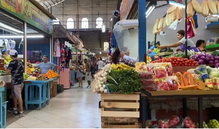 mercado municipal “José María Pino Suárez”