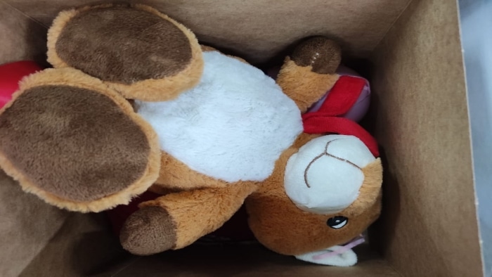oso de peluche con droga