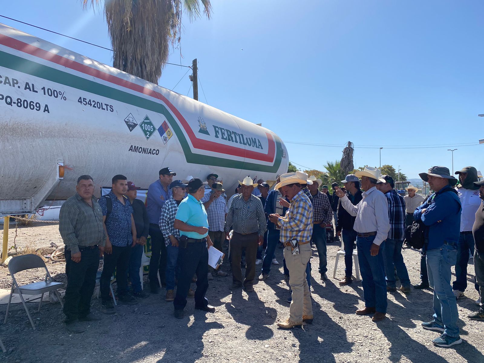productores de maíz y trigo