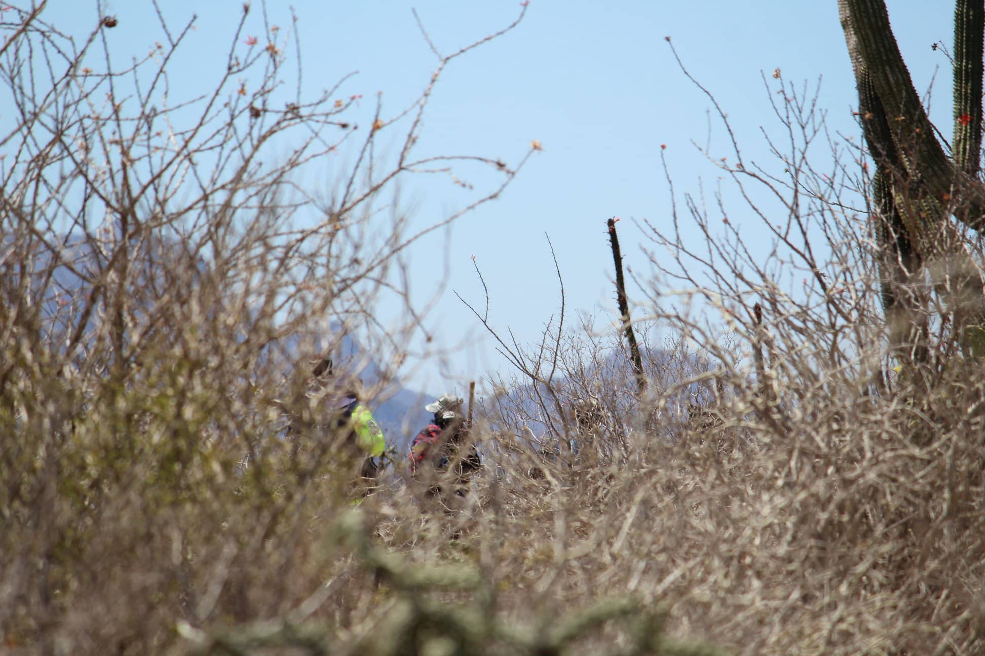 rastreadoras fosas clandestinas Búsqueda Foto Graciela Tapia