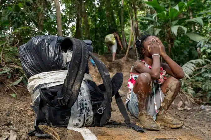 ¡Milagro! Rescatan a menor de 4 años abandonado en la peligrosa selva del Darién