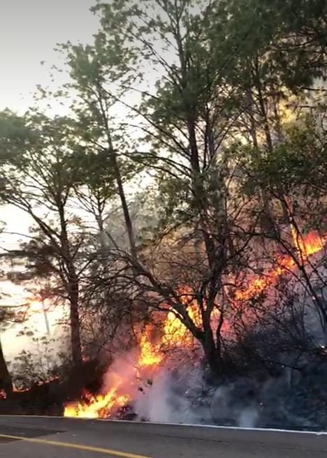 ¡Tiene 11 días activo! Todavía no se ha podido controlar el incendio forestal en sierra de Concordia