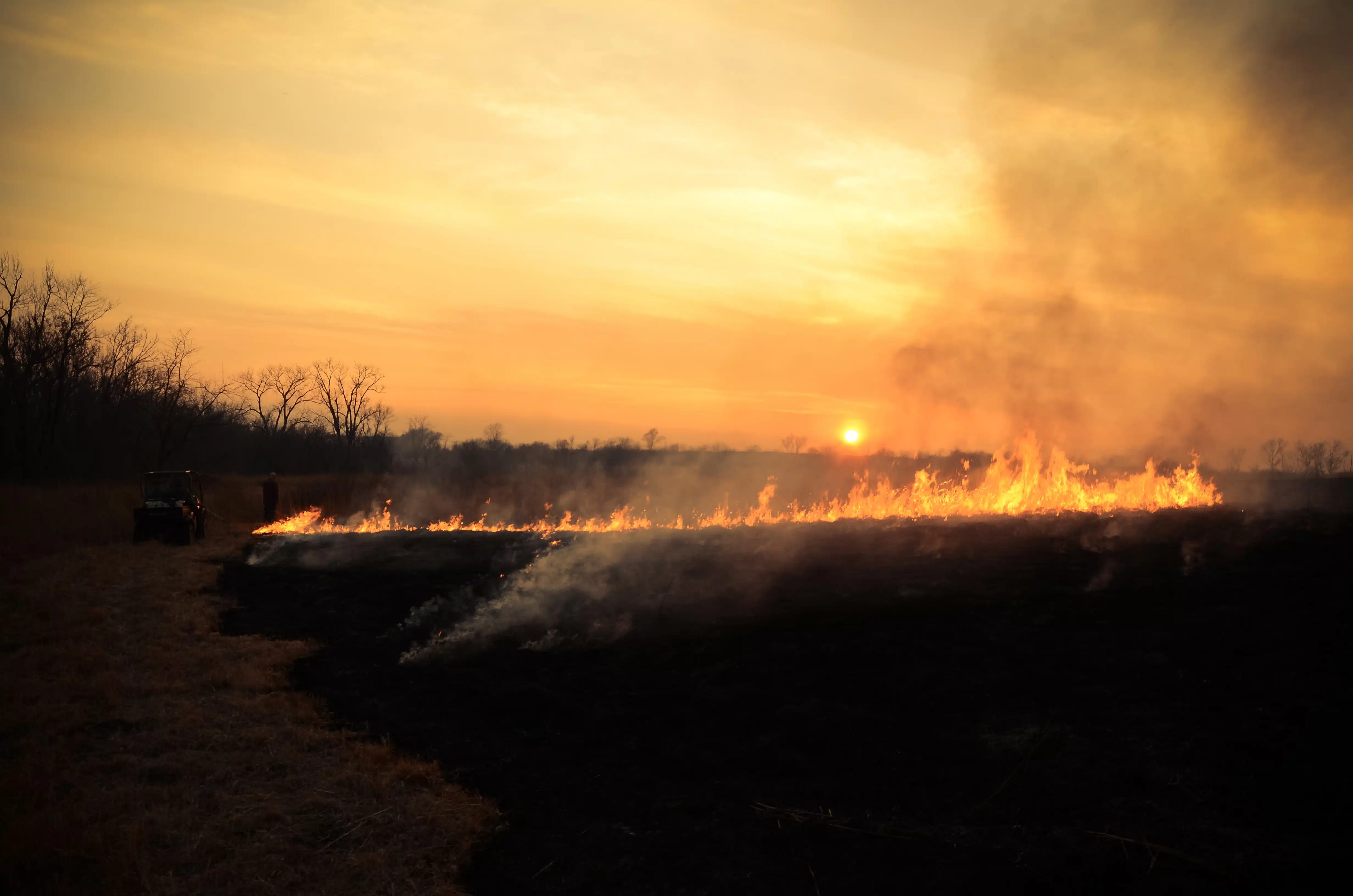 La resequedad en el medio ambiente y la radiación solar pueden provocar incendios forestales: Caades