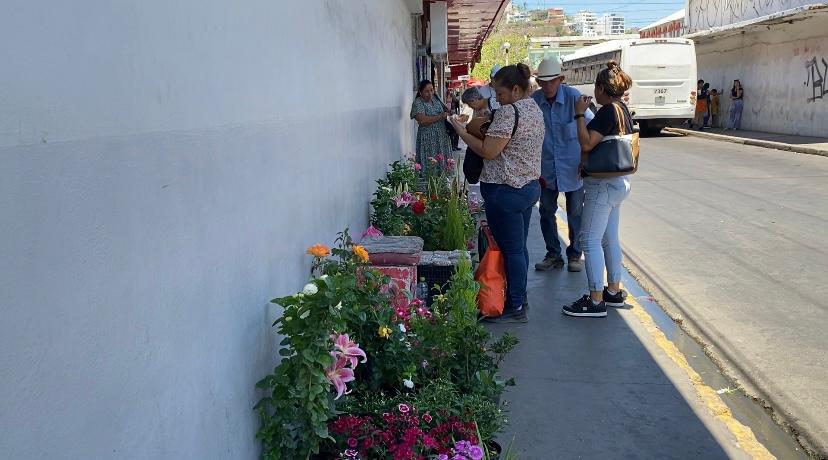 Don José Luis Colio atendiendo clientes que observan sus plantas