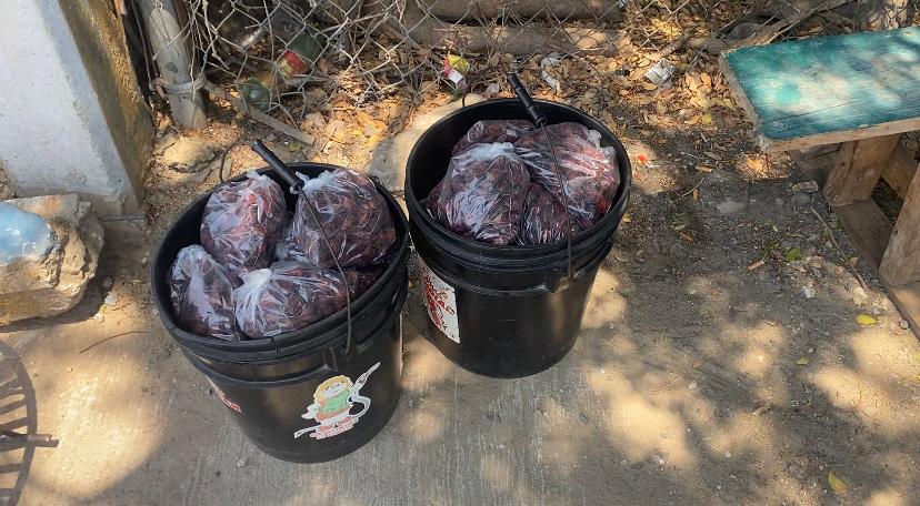 Dos cubetas negras con productos en bolsas de plástico transparentes