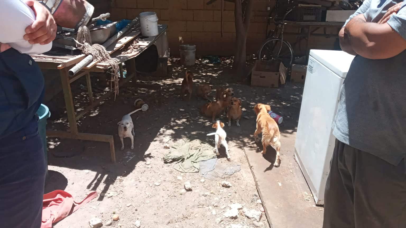 Taquería clausurada por Coepriss en Los Mochis