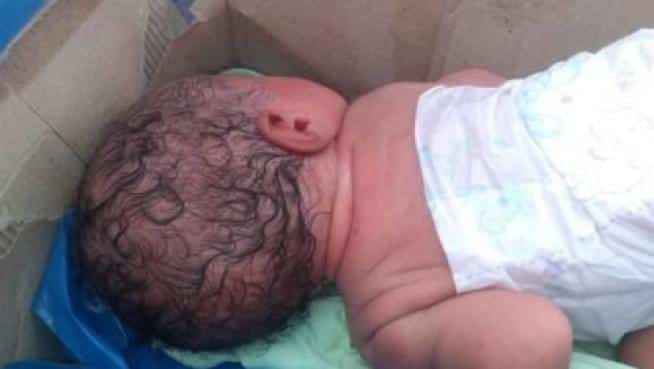 Abandonan a recién nacida en bote de basura; ¡estaba pálida al ser localizada!