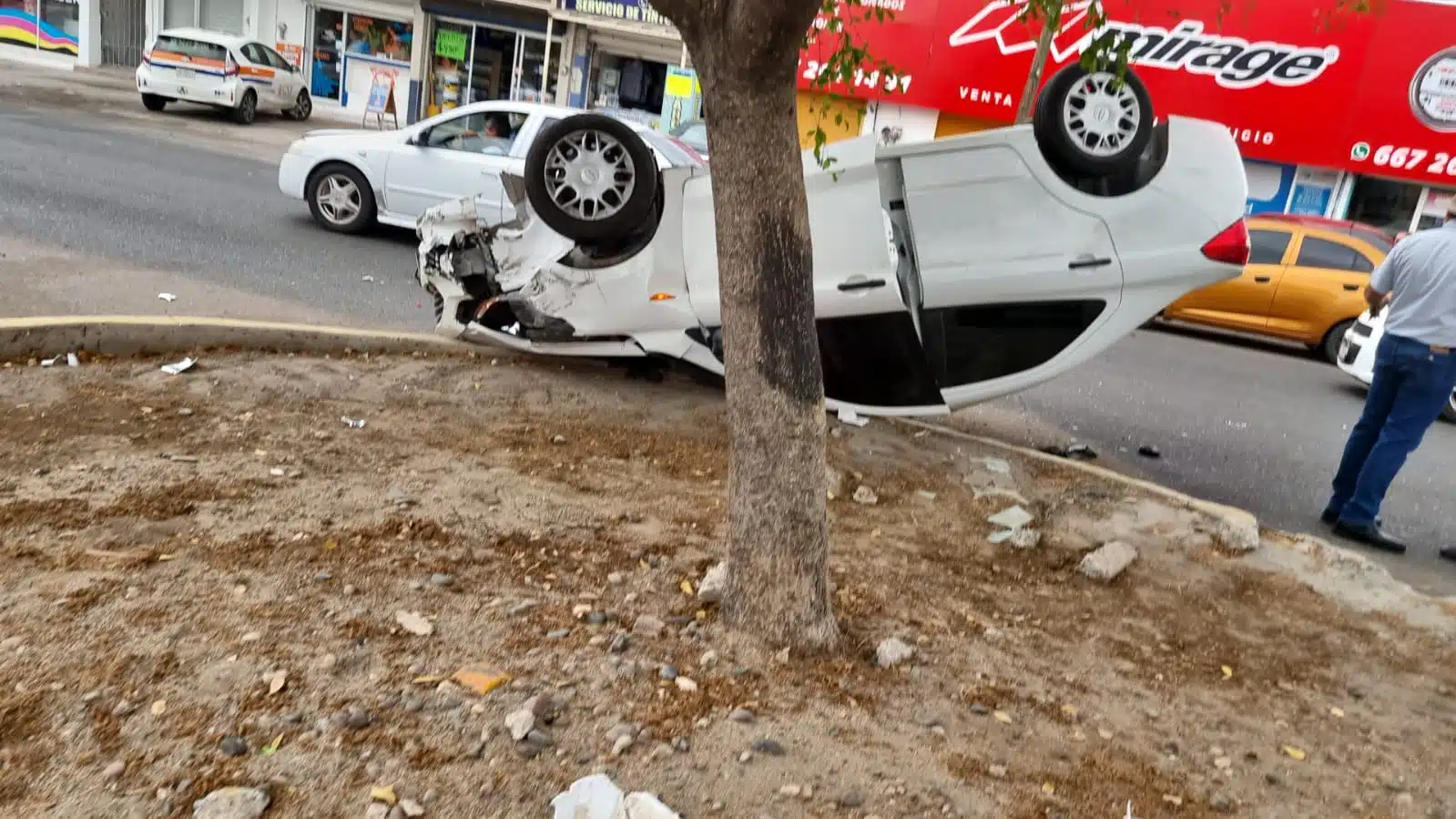 Carro color blanco volcado con los neumáticos hacia arriba a un lado de un palo de un árbol