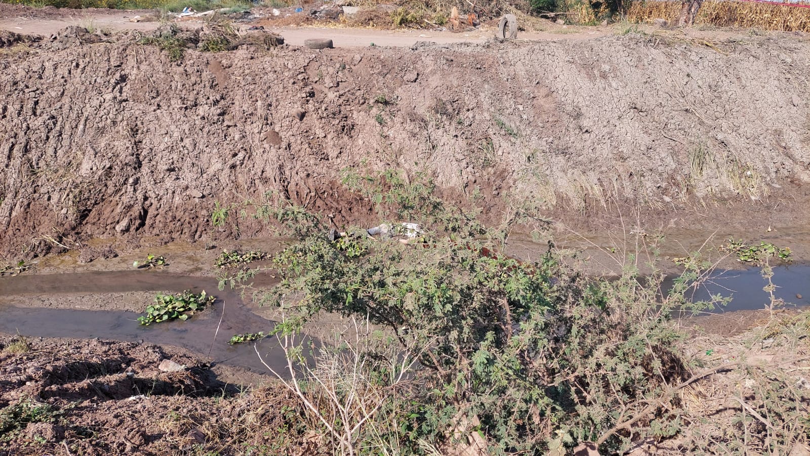 En un dren hallan a hombre asesinado en Ahome