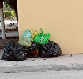 Basura colonia Álamos, Los Mochis