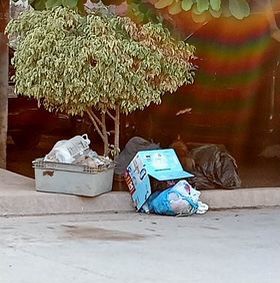 Basura colonia Álamos, Los Mochis