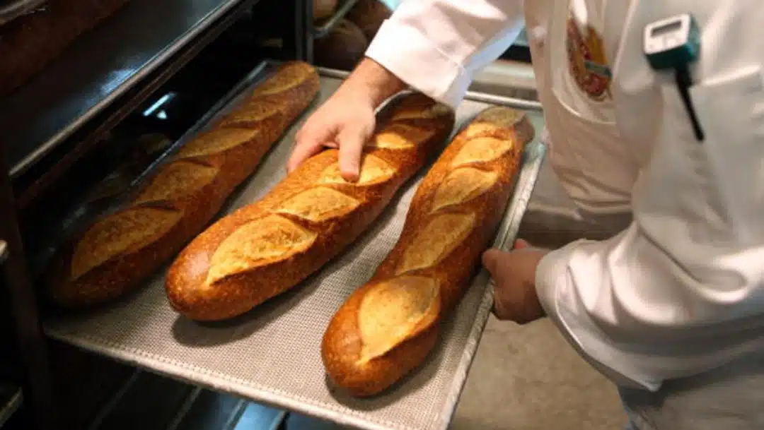 Buscas trabajo Canadá busca panaderos; pagará 26 mil pesos al mes