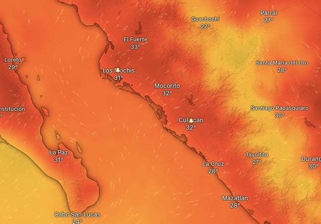 Sábado de altas temperaturas