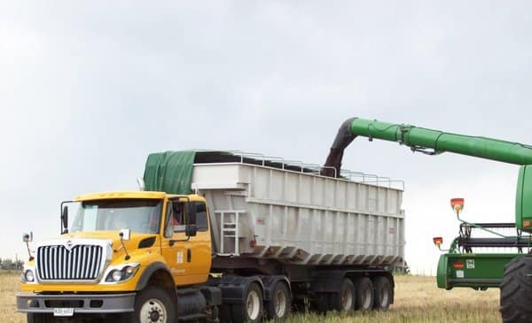 DVyT permisos falsos para el traslado de la cosecha de maíz a bodegas