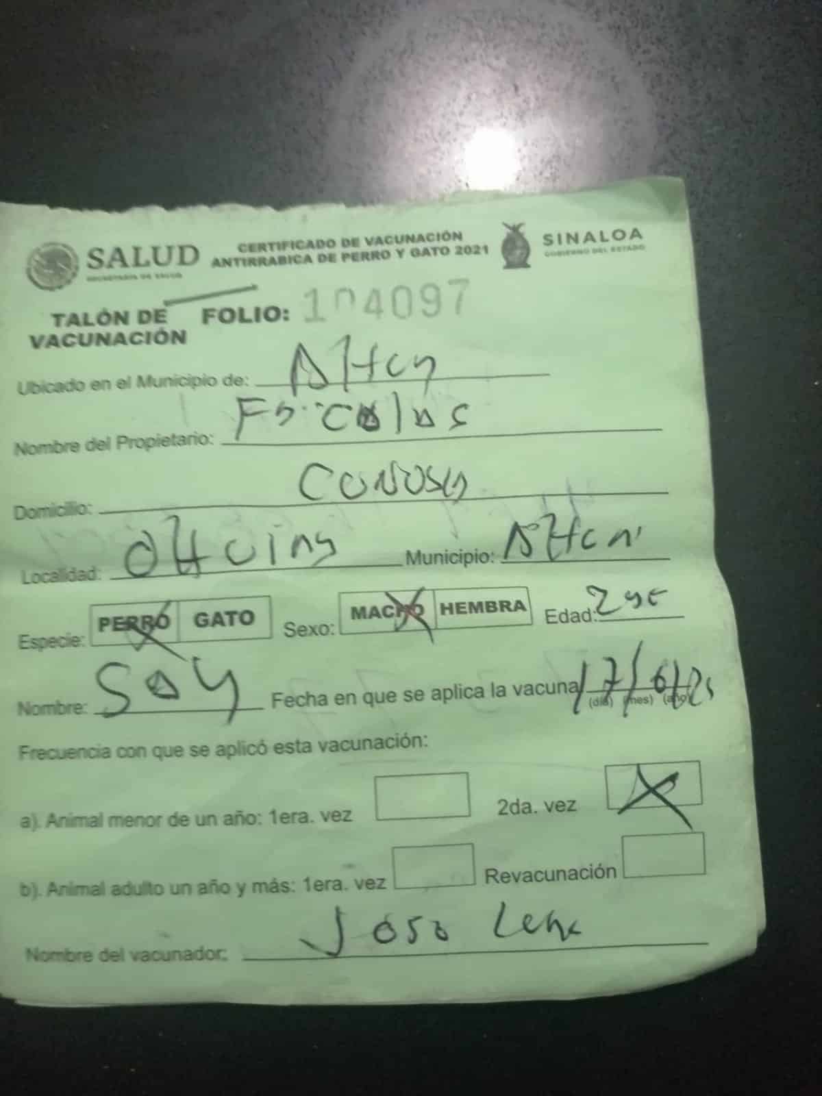 Alerta la SSA sobre falsos vacunadores de mascotas