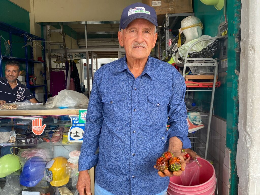 Don José Luis vende pitahayas en Los Mochis