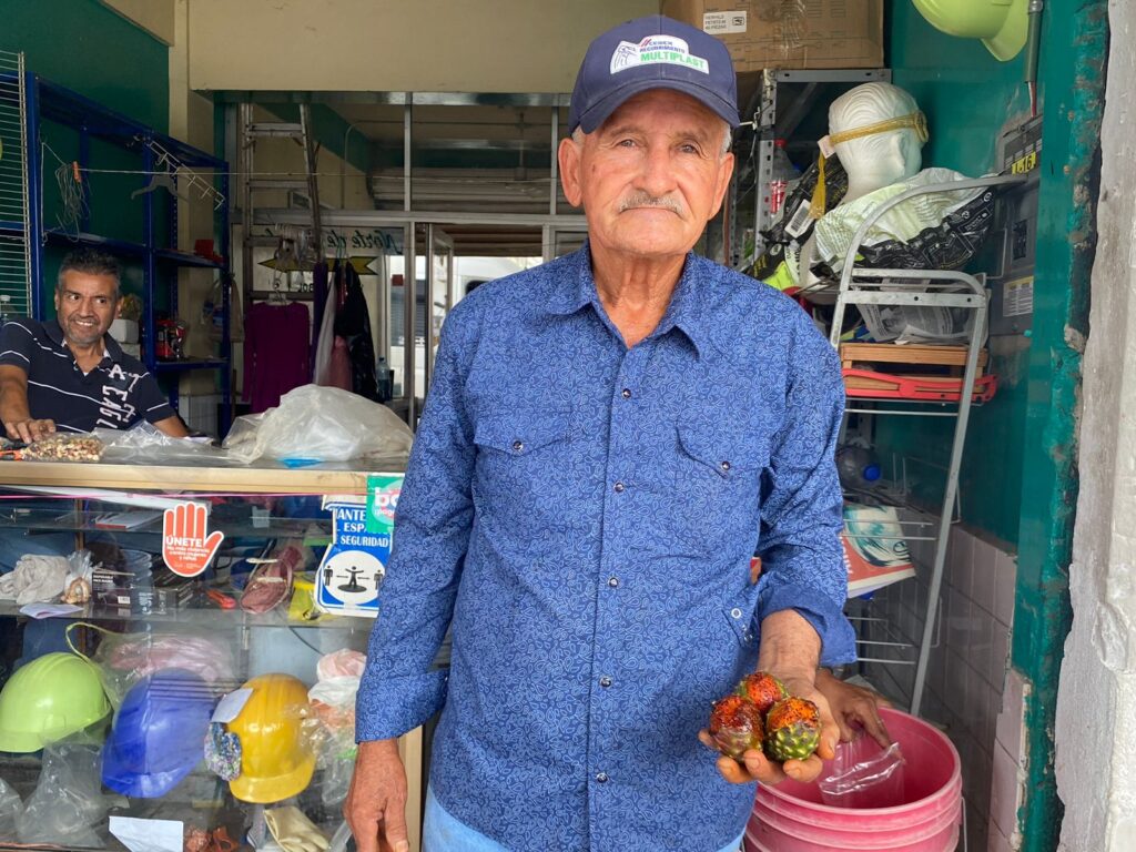 Don José Luis vende pitahayas en Los Mochis
