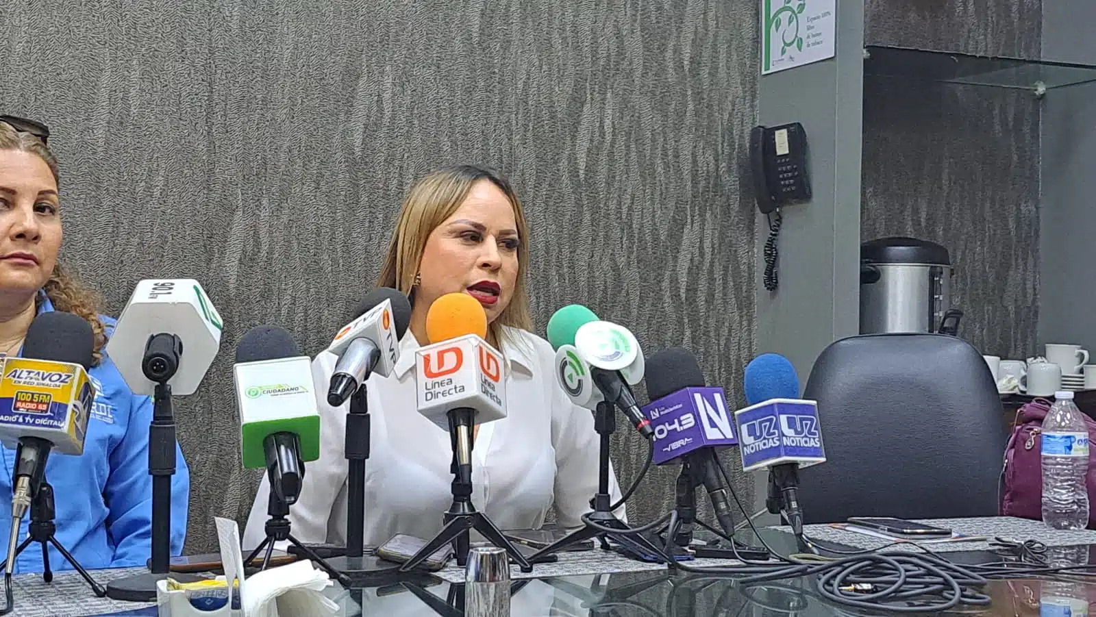 presidenta de la Asociación Mexicana de Mujeres Jefas de Empresas Dulce Ruiz Castro.