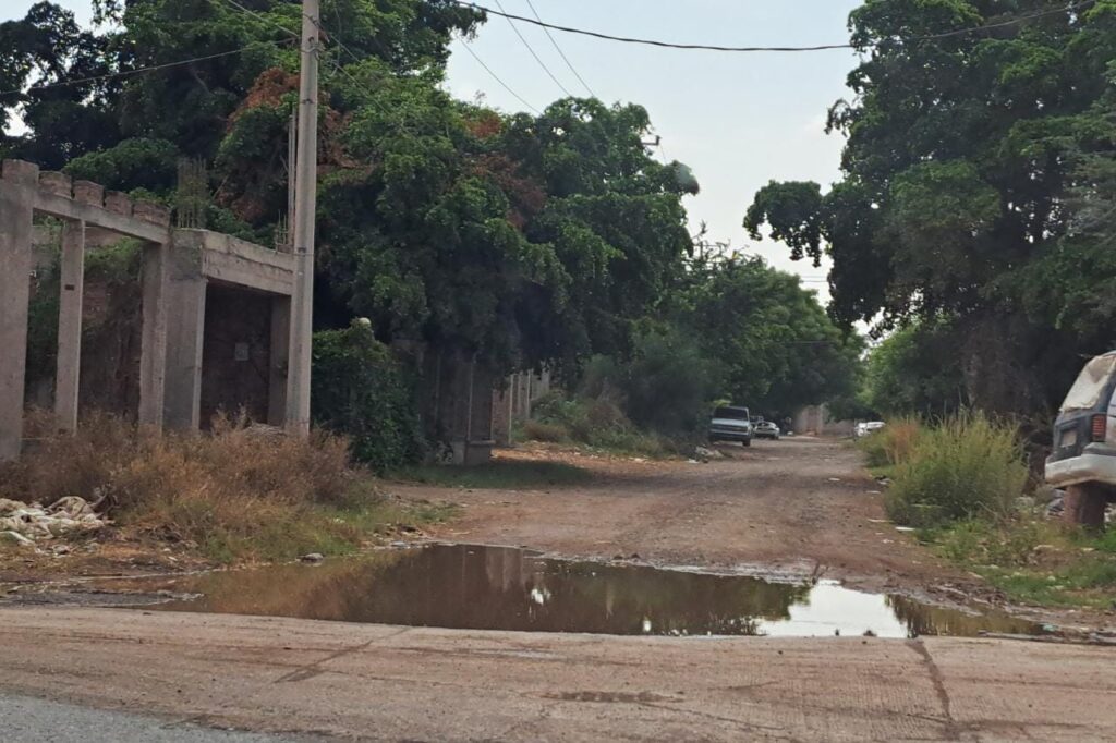 Encharcamiento de agua tras lluvias en Guasave