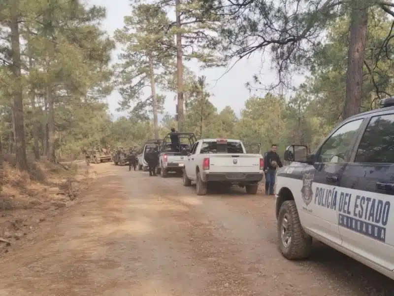 Enfrentamiento entre bandas delictivas deja 8 muertos en sierra de Chihuahua