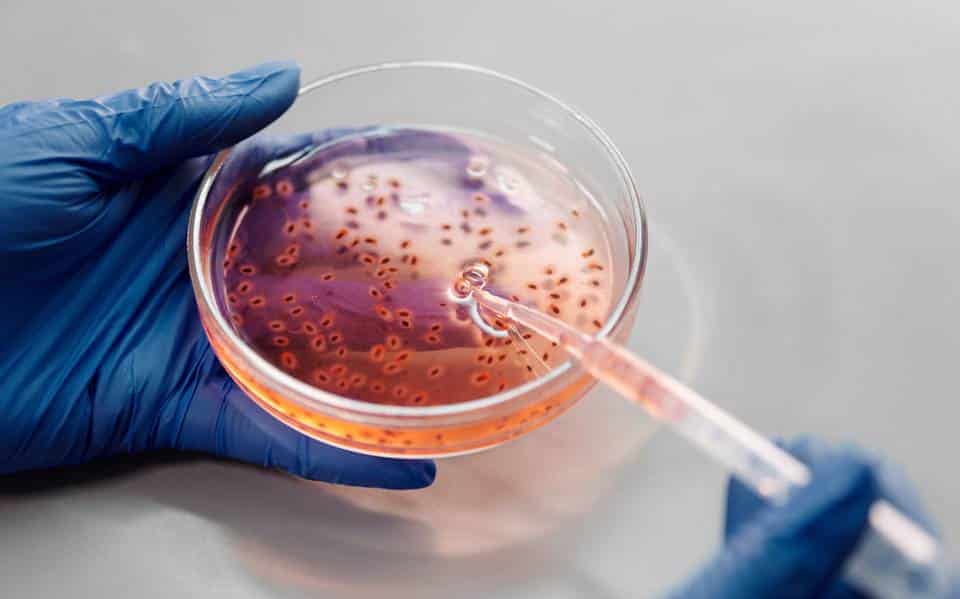 Estadounidenses se contagian de meningitis fúngica en Matamoros; murieron siete