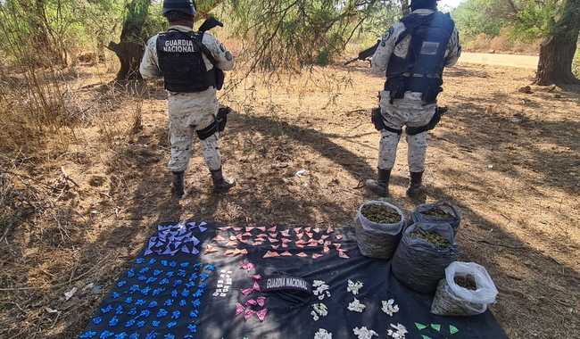 Guardia Nacional decomisa droga