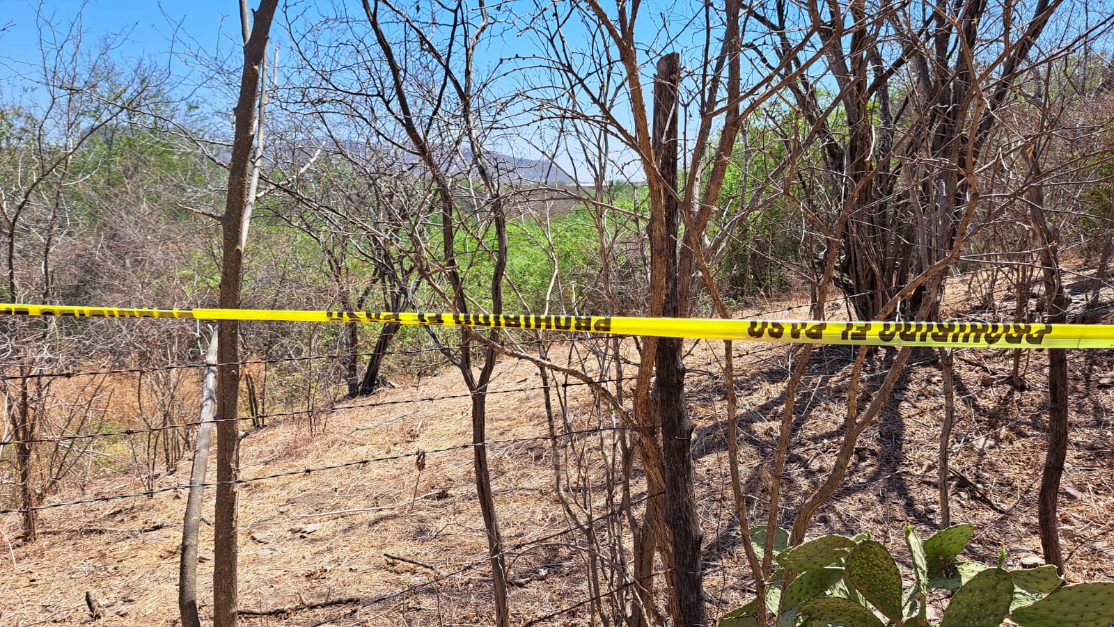 ENCUENTRAN HOMBRE SIN VIDA ENTRE EL POBLADO EL CARRIZALEJO Y AYUNÉ AL ORIENTE DE CULIACÁN.