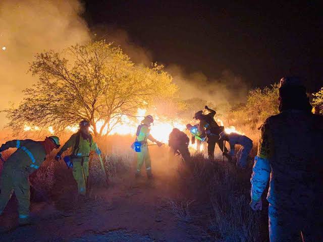 Incendio forestal consume 10 mil hectáreas en rancherías de Sonora