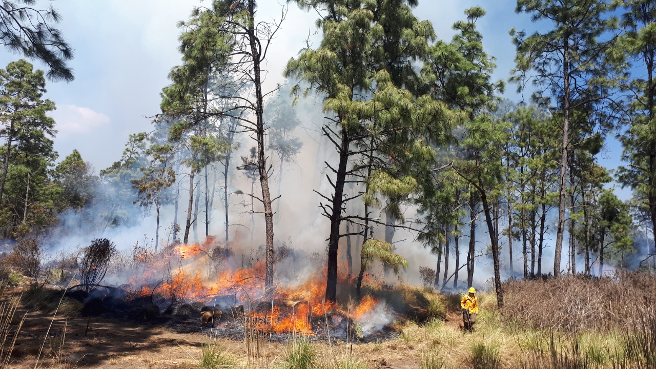 Incendios forestales en México
