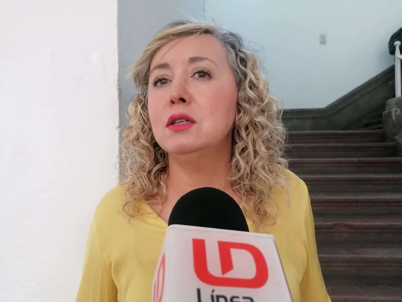 Janeth Tostado Noriega secretaria de Economía de Culiacán