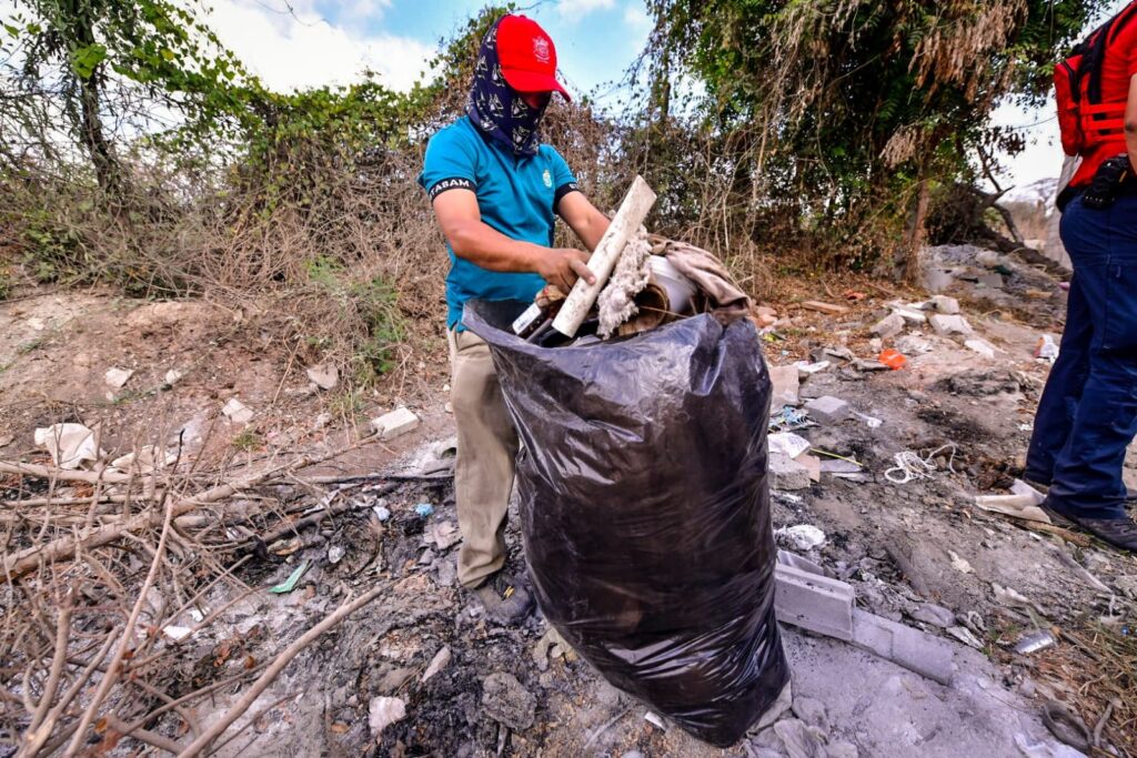 Limpieza de baldíos y calles en Mazatlán