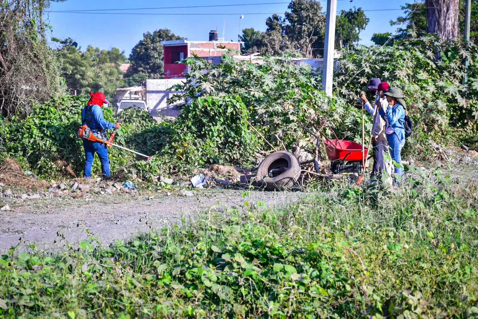 Limpieza de baldíos y calles en Mazatlán