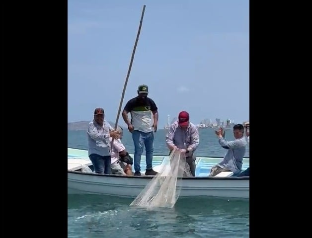 películas Infantil problema pesca con tarraya Mexico pluma