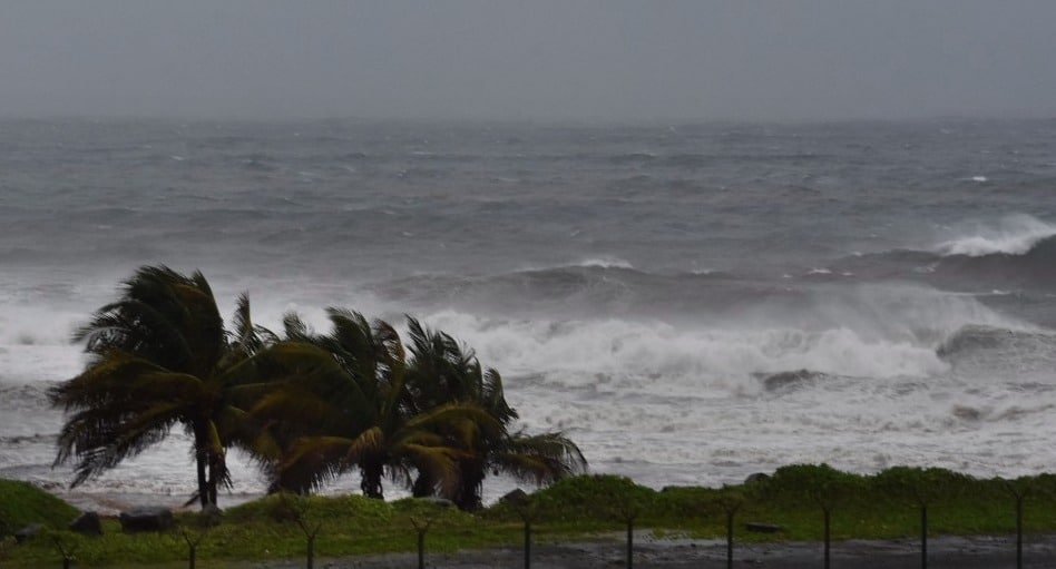 Mar con fuertes olas, marea fuerte, palmeras moviéndose