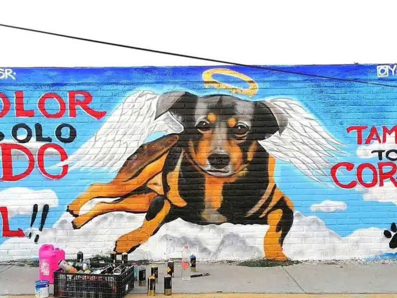 Homenajean a Scooby con un mural